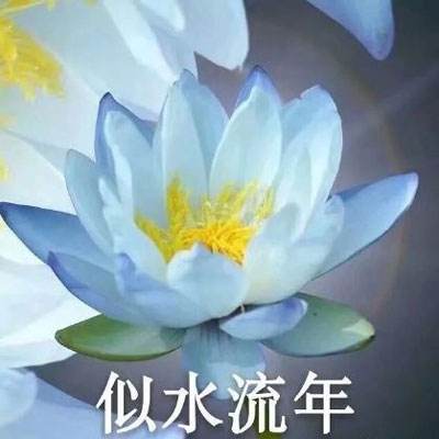 公主女神美妆达人官方版下载